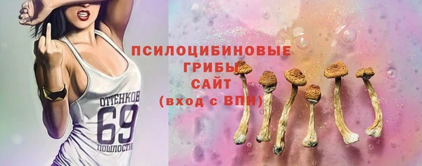 мдпв Касимов