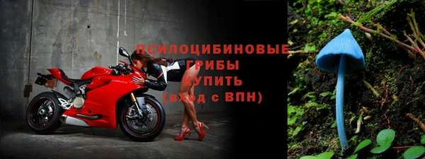 дживик Карпинск